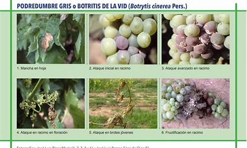 博爾塔拉VD爐除塵器